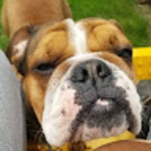 Meet your Posher, Trinity